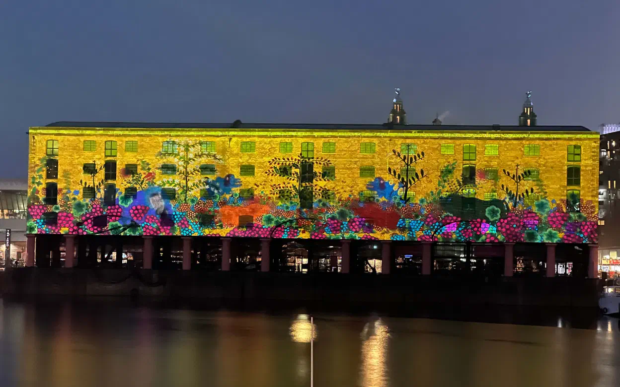 Cover image for the article named 'River of Light'
