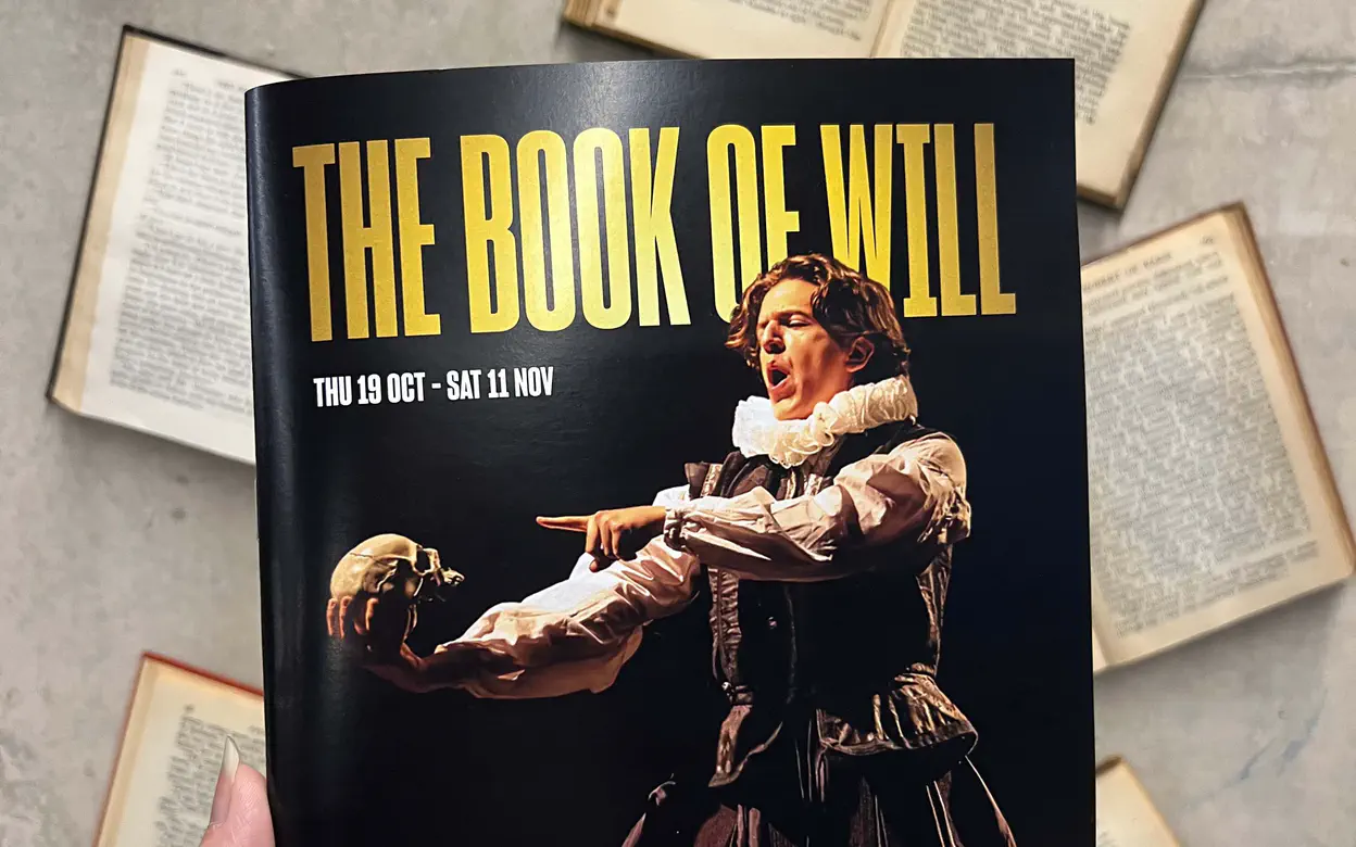 Cover image for the article named 'The Book of Will'