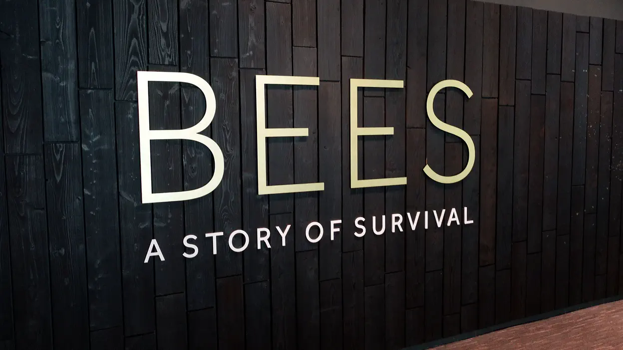 Cover image for the article named 'Bees: A Story of Survival'
